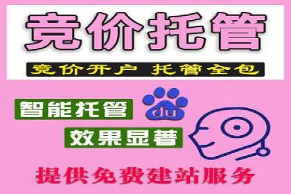 竞价排名在搜索引擎营销中的运用案例